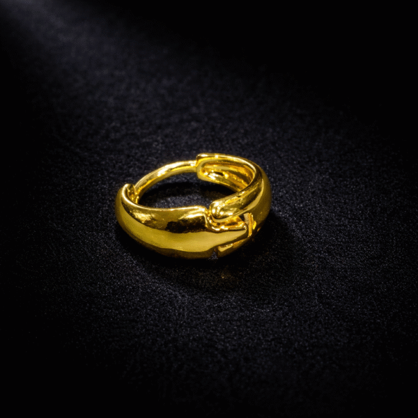 Annisu Bold Gold Hoop – Men’s Earring