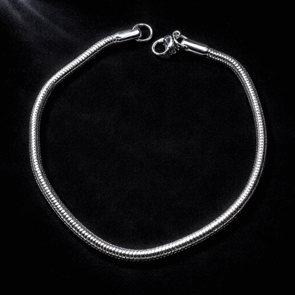 Annisu Classic Snake circle  Chain Bracelet for Men