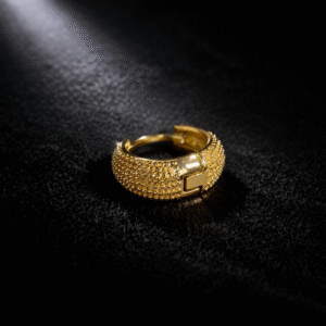 Annisu Golden Regal Edge Earring for Men