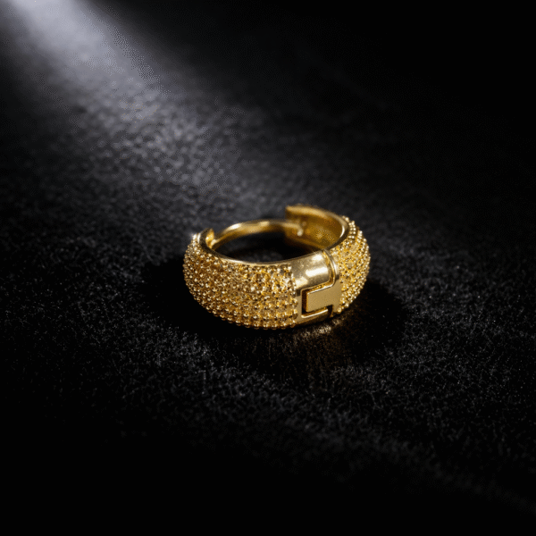 Annisu Golden Regal Edge Earring for Men